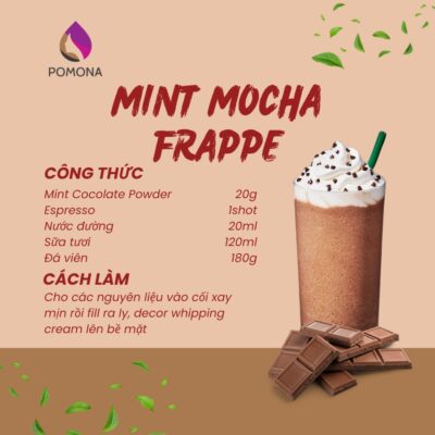 Mint Mocha Frappe