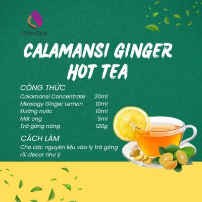 Calamansi Ginger Hot Tea