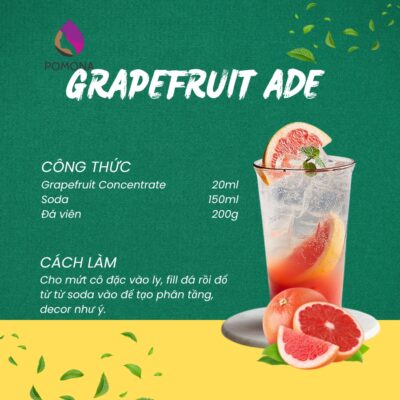 Mứt trái cây cô đặc Pomona vị Bưởi hồng (Grapefruit Concentrate) - Bình 1,2kg 11 GrapeFruit Ade